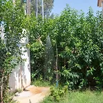 Lollas 1 Acharavi Corfu * Acharavi (Corfu)