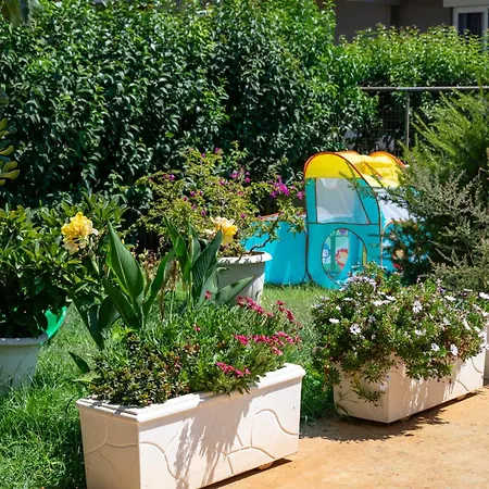 Lollas 1 Acharavi Corfu