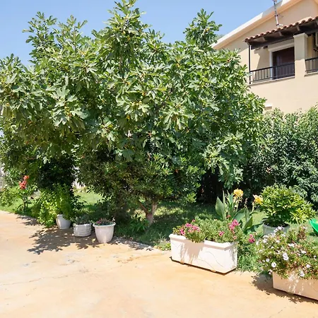 Lollas 1 Acharavi Corfu Acharavi (Corfu)