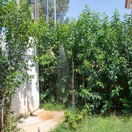 Lollas 1 Acharavi Corfu * Acharavi (Corfu)