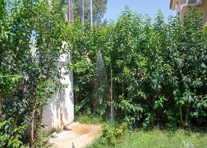 Lollas 1 Acharavi Corfu * Acharavi (Corfu)