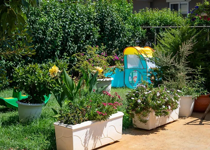 Lollas 1 Acharavi Corfu